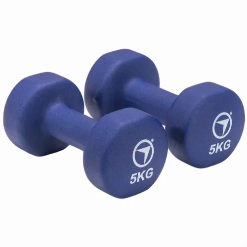 FitNord Vinylhantlar 5 kg (par)